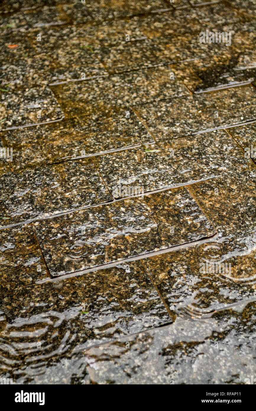 Miracema Granit Pflaster nass durch den Regen. Florianopolis, Santa Catarina, Brasilien. Stockfoto