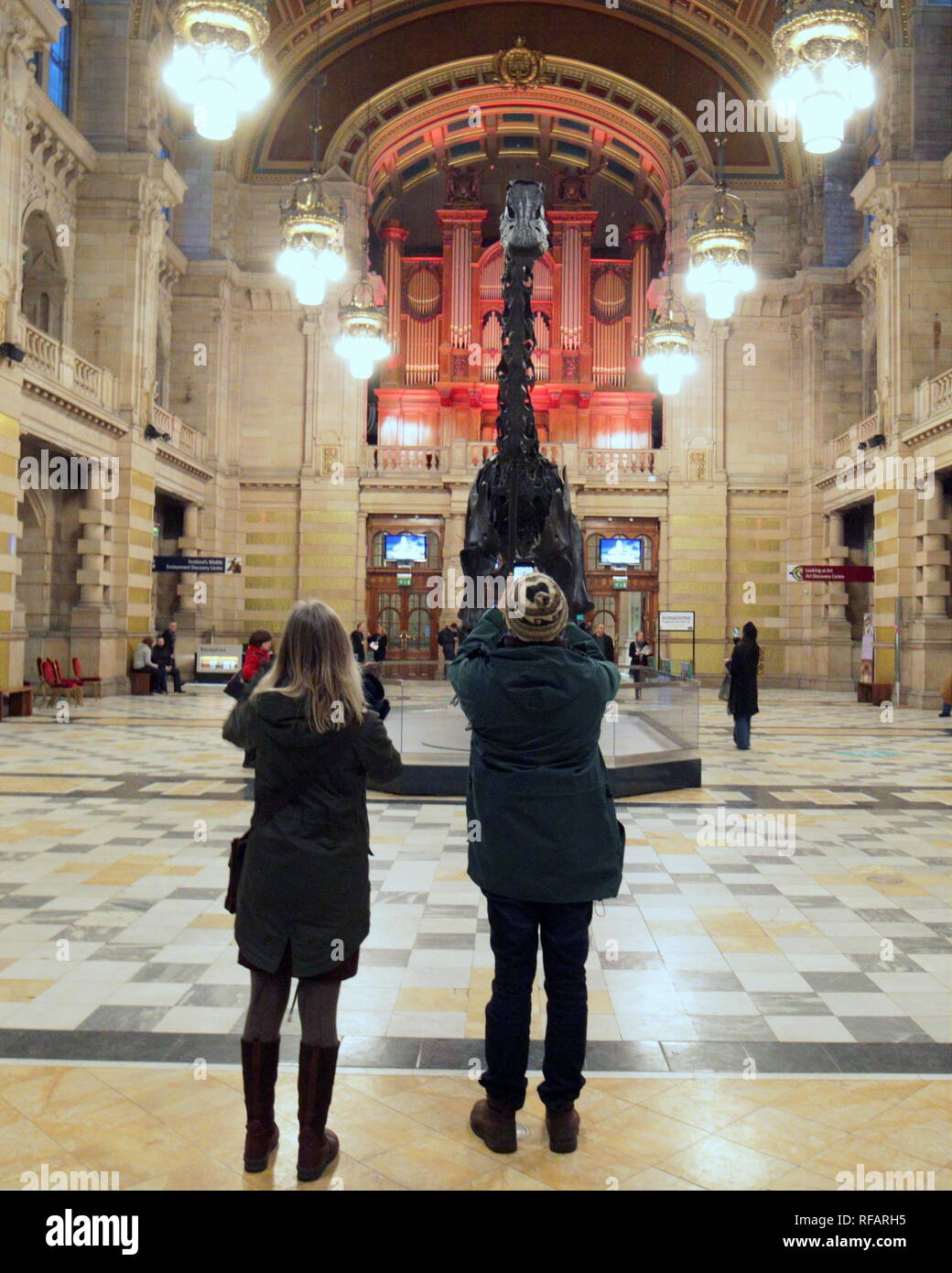 Glasgow, Schottland, Großbritannien. 24 Jan, 2019. Der Diplodocus Dippy UK Tour sehr beliebt ist wie die Dinosaurier Rock Star Aufmerksamkeit Unter Jung und Alt wird und ist zu einem der meist fotografierten Attraktionen in der Stadt, Schottland, UK Credit: Gerard Fähre / alamy Leben Nachrichten Stockfoto