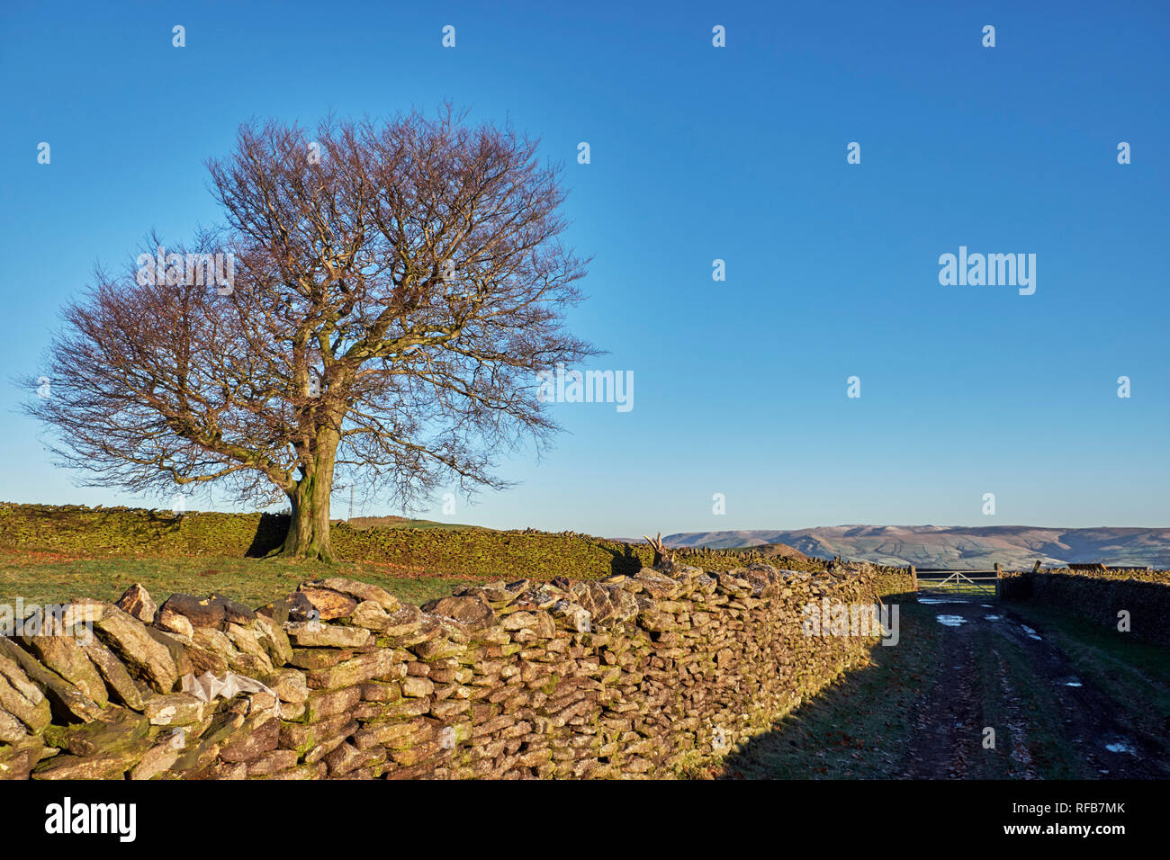 Green Lane in der Nähe von Kapelle-en-le-Frith. Nationalpark Peak District, Derbyshire, England. Stockfoto