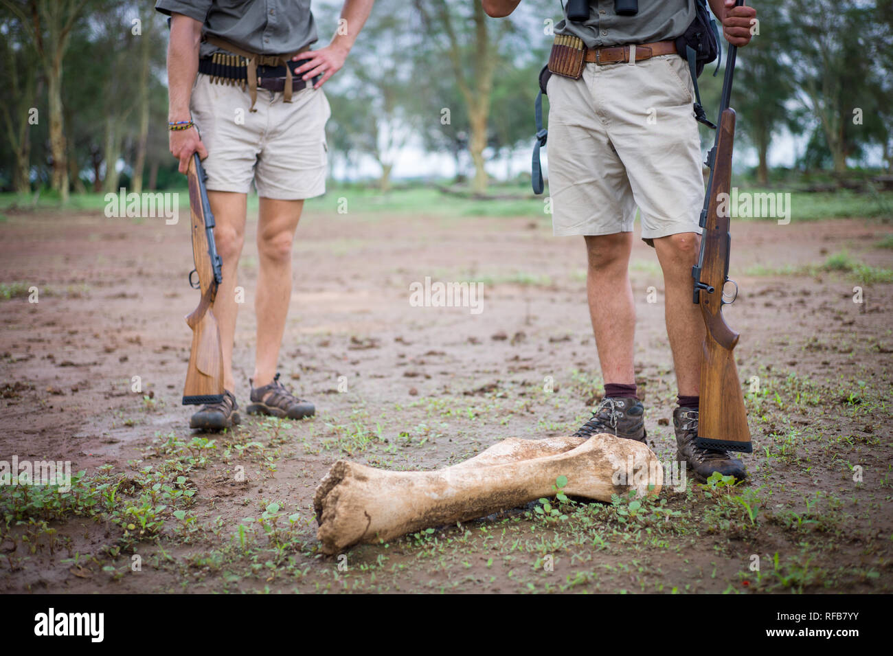 Das Pafuri Region im äußersten Norden von Kruger National Park ist ein herrliches Ziel für eine Safari mit viel Wildnis und unglaubliche Landschaften. Stockfoto