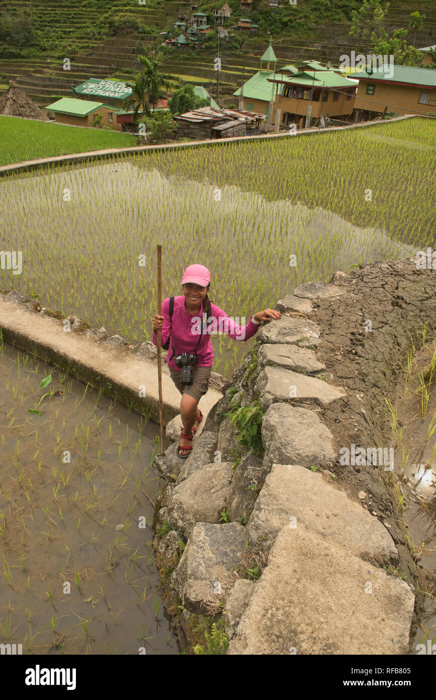 Wanderungen durch die faszinierende UNESCO Reisterrassen von Banaue und Batad, Mountain Province, Philippinen Stockfoto