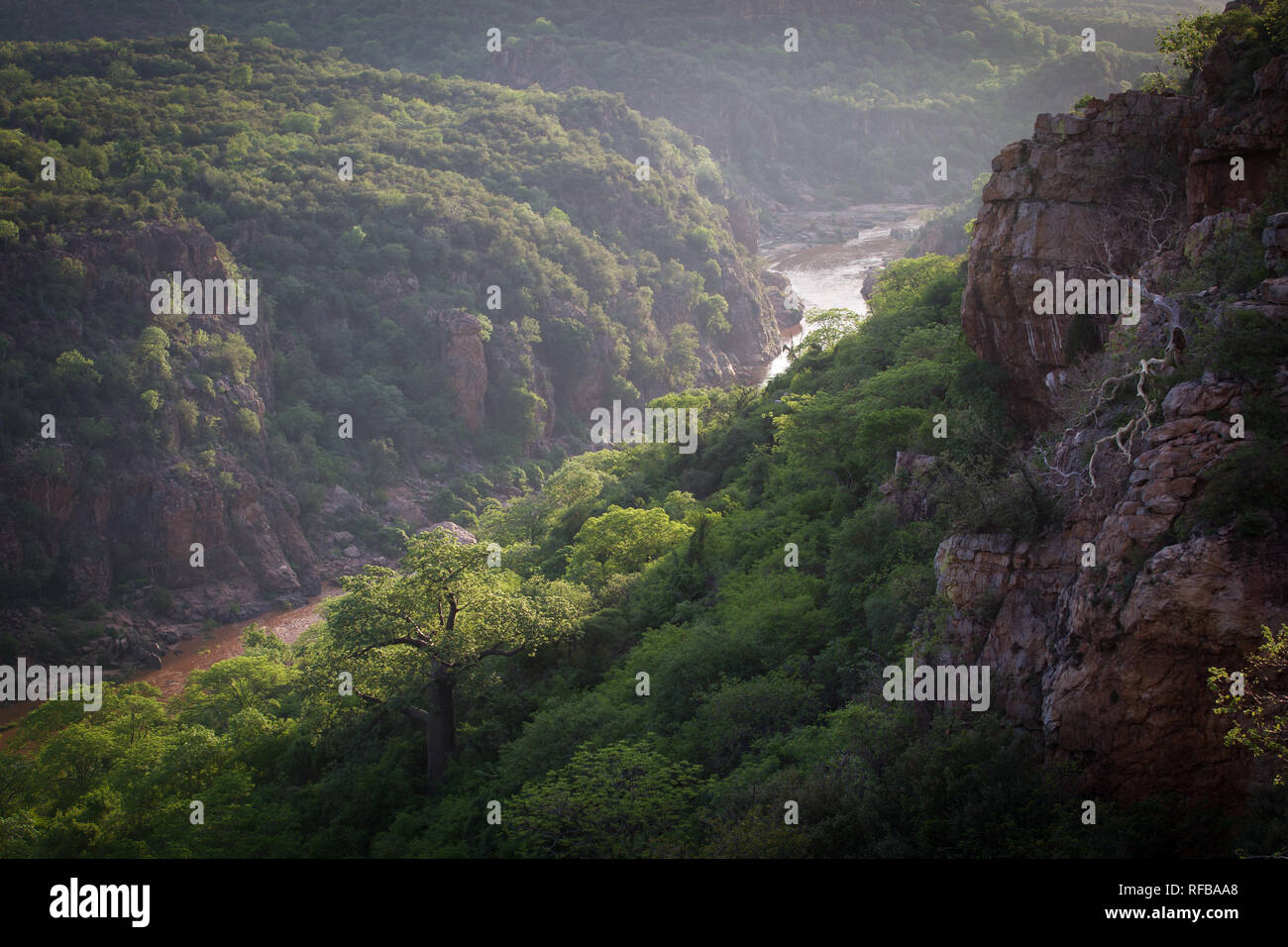 Lanner Gorge, die von den Luvuvhu Fluss geschnitzt, in der Pafuri Region im äußersten Norden von Kruger National Park, der eine atemberaubende Reiseziel für einen Saf Stockfoto