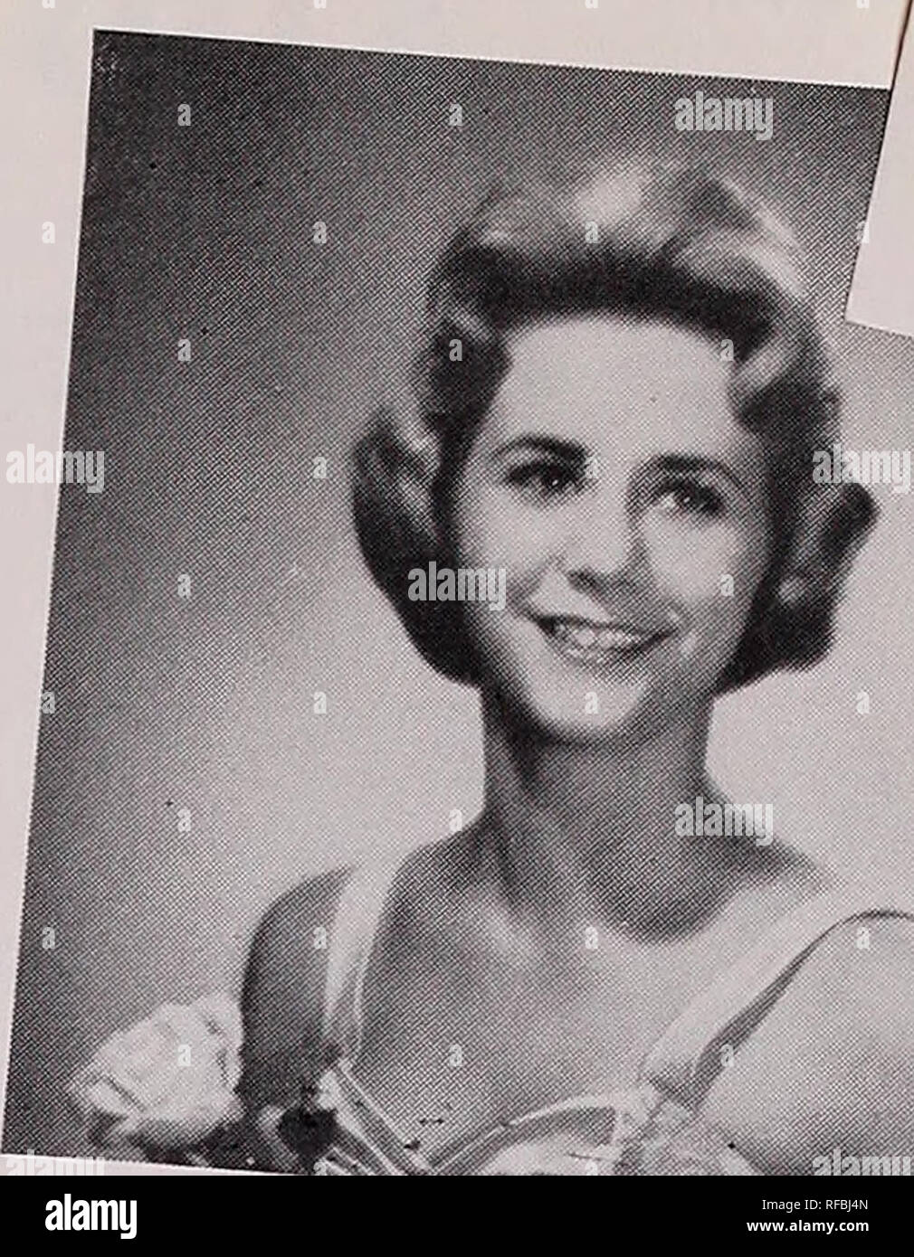 . Katalog der Garten Größe: Herbst Frühling 1959 1960. Queen Elizabeth Byars Texas Rose Festival yler, Okt. 15-18, 1959. Y KORDES PERFECTA Anlage Pat. Nr. 1604 Big, wohlgeformten Blüten, mit hohen und anmutig outcurling Blütenblätter von Seidigen cremig-weiß, mit einem Hauch von sonnigen yel-low in rosigen umrandete - Carmine. Die Anlage ist kräftig, stark und hat reiche Schwere foli-Alter. Hier ist ein großer, fetter Schönheit, dass ist eine reine Freude von Bud zu blühen. Jeder 3,50 $ 3 für $ 9.20 gelbe Rose von TEXAS LEMON CHIFFON | (Pat. 1241) Aus dem edlen Abstammung von soeur Therese und Golden Dawn kommt dieses reiche Gelb Stockfoto