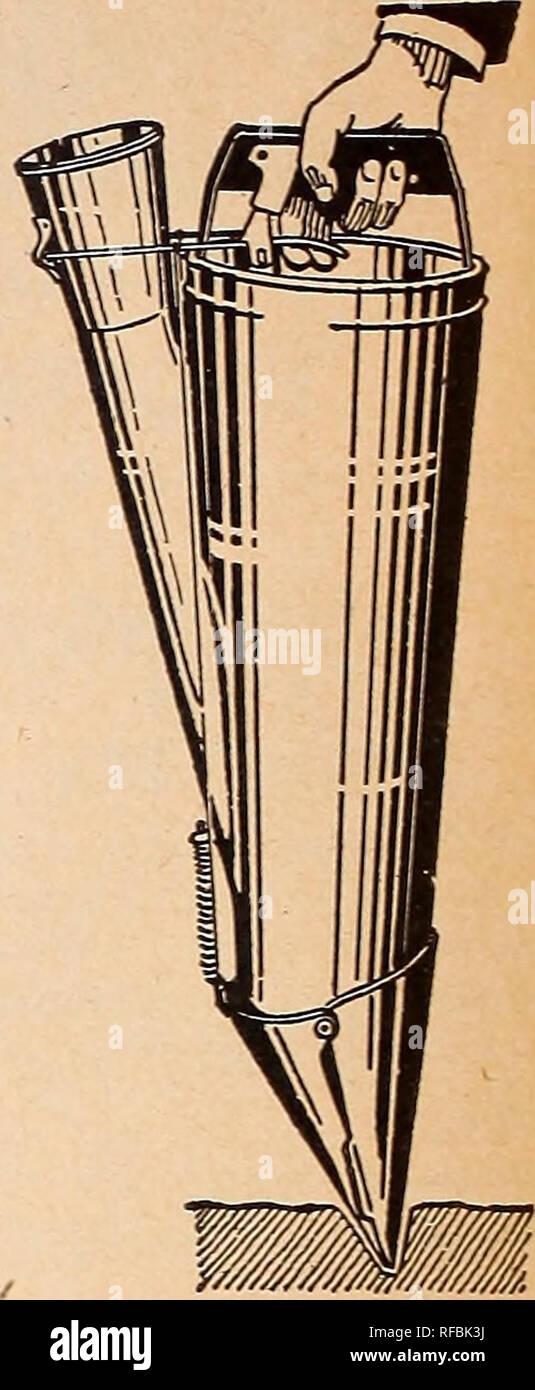 . [Katalog]. Baumschulen (Gartenbau) North Carolina Raleigh Kataloge; Baumschulen North Carolina Raleigh Kataloge; Samen North Carolina Raleigh Kataloge, Leuchtmittel (Pflanzen) North Carolina Raleigh Kataloge; Gemüse North Carolina Raleigh Kataloge; Gartenarbeit Nort. Acme Segment Mais Pflanzmaschine Nr. 311 Die Acme Segment Mais Pflanzmaschine ist die beliebteste Pflanzmaschine. Hat ad-justable Tiefenlehre. Auch Saatgut Folie für die gewünschte Anzahl an Kernen. Kann auch für die Anpflanzung von Bohnen verwendet werden. Arbeitet automatisch, einfach und ac-curately. Samen säen. Bitte beachten Sie, dass diese Bilder aus gescannten Pag extrahiert werden Stockfoto