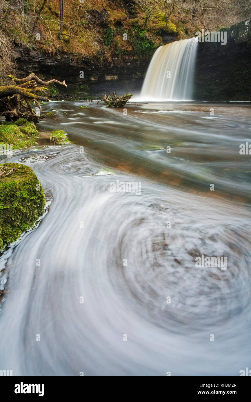 Sgwd Gwladys Wasserfall, Pontneddfechan, Brecon Beacons, Wales Stockfoto