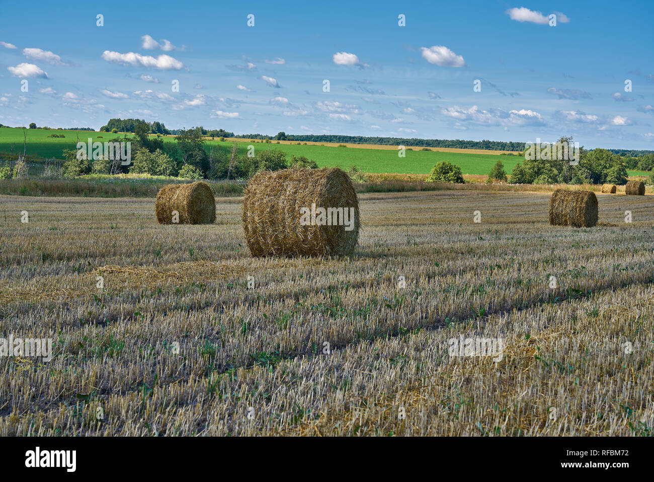 Rund Heuballen nach der Ernte, aus dem Feld in Russland. Landschaftsaufnahme wurde im August im Sommer aufgenommen. Stockfoto