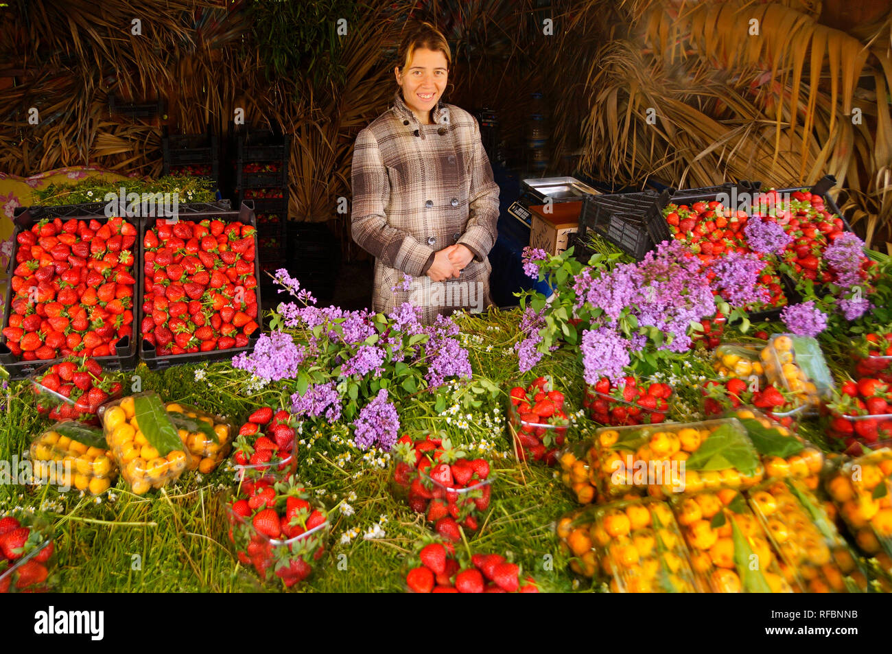 Erdbeeren und mispel Früchte stehen in der Nähe von Yogyakarta. Türkei Stockfoto