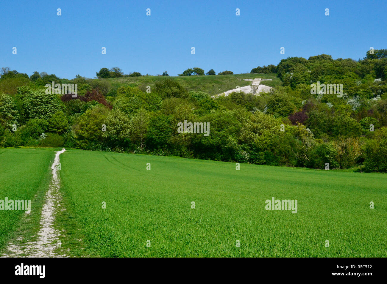 Blick auf Whiteleaf Kreuz aus dem Feld in der Nähe der Icknield Way, Princes Risborough, Buckinghamshire, Großbritannien. Stockfoto