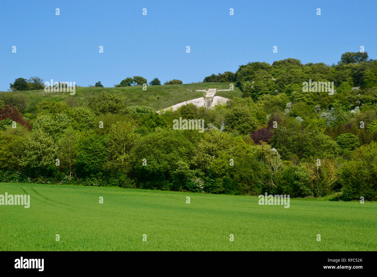 Blick auf Whiteleaf Kreuz aus dem Feld in der Nähe der Icknield Way, Princes Risborough, Buckinghamshire, Großbritannien. Stockfoto