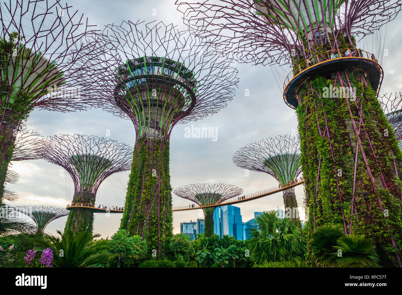 Singapur - Januar 2019: Gärten von der Bucht mit dem Supertree Grove in Singapur in der Nähe von Marina Bay Sands Hotel Stockfoto