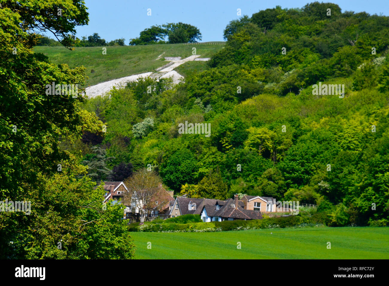 Blick auf Whiteleaf Kreuz aus dem Feld in der Nähe der Icknield Way, Princes Risborough, Buckinghamshire, Großbritannien. Stockfoto