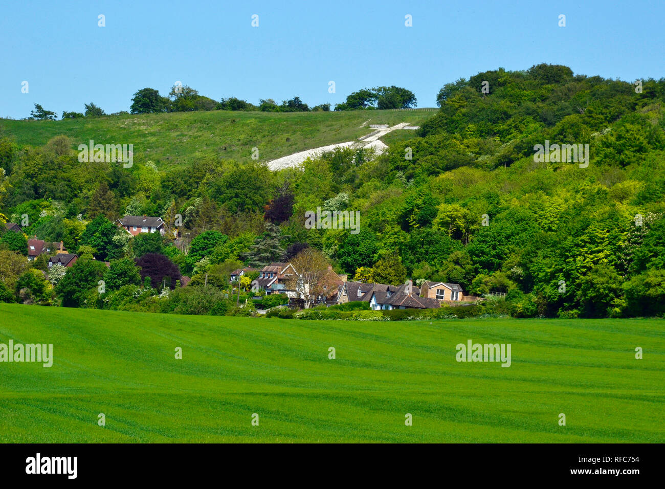 Blick auf Whiteleaf Kreuz aus dem Feld in der Nähe der Icknield Way, Princes Risborough, Buckinghamshire, Großbritannien. Stockfoto