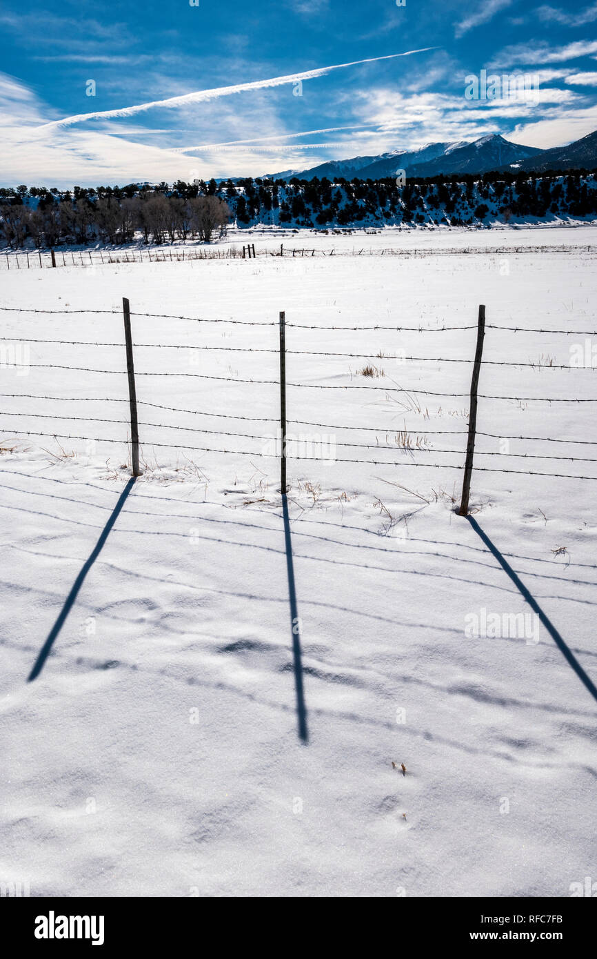 Stacheldraht zaun wirft Schatten auf Neuschnee; Vandaveer Ranch; Salida, Colorado, USA Stockfoto