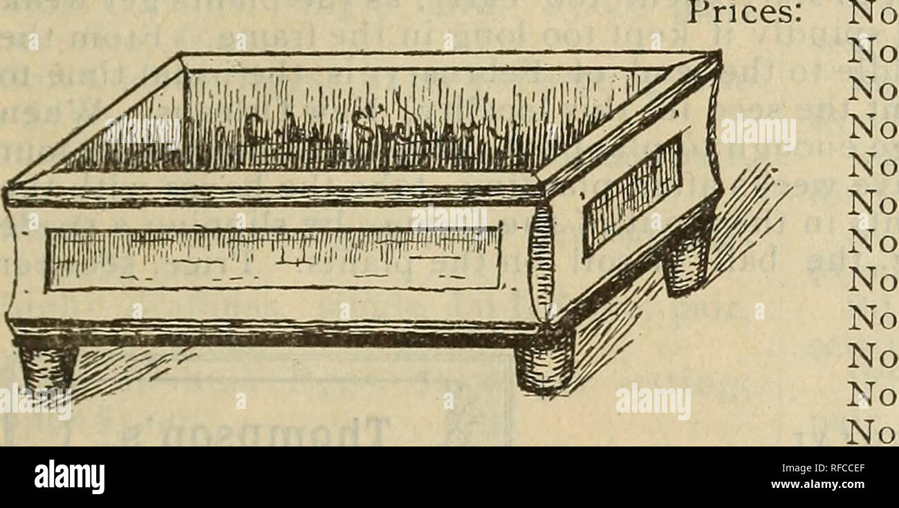 . Almanach und Garten Handbuch für die südlichen Staaten der J. Steckler Seed Co., Ltd.. Baumschulen Louisiana New Orleans Kataloge; Gemüse; Blumen Samen Samen Kataloge Kataloge; Gräser, Samen Kataloge; Obst Kataloge. m Der beste Topf in zu wachsen Farne und Lycopodiums. Sie sind aus Terra Cotta, flach und Dorous, stark und vor allem sehr sauber. Die Farne wachsen im Haus keine bessere Topf gefunden werden konnte, wenn sie verwendet werden, i-n Zusammenhang mit der Untertasse das Wasser aus durch tropfende verhindern. Anstelle von Blumenerde Jadoo Faser verwendet werden soll. Farne wachsen Bast in es, es ist Licht und behält sich m Stockfoto