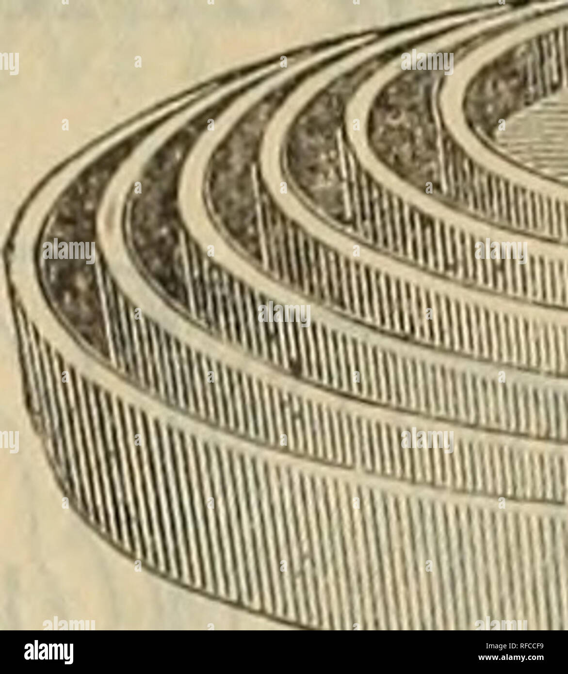 . Almanach und Garten Handbuch für die südlichen Staaten der J. Steckler Seed Co., Ltd.. Baumschulen Louisiana New Orleans Kataloge; Gemüse; Blumen Samen Samen Kataloge Kataloge; Gräser, Samen Kataloge; Obst Kataloge. Farn Pfannen.. m Der beste Topf in zu wachsen Farne und Lycopodiums. Sie sind aus Terra Cotta, flach und Dorous, stark und vor allem sehr sauber. Die Farne wachsen im Haus keine bessere Topf gefunden werden konnte, wenn sie verwendet werden, i-n Zusammenhang mit der Untertasse das Wasser aus durch tropfende verhindern. Anstelle von Blumenerde Jadoo Faser verwendet werden soll. Farne Bast in Ihm wachsen, es ist Licht ein Stockfoto