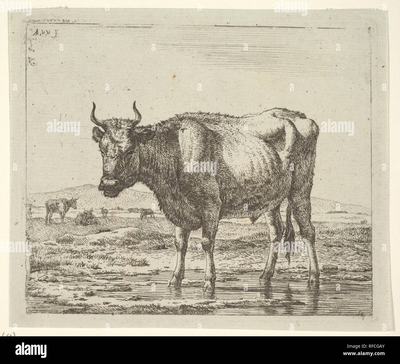 Stier stehend im Wasser, von verschiedenen Tieren. Artist: Adriaen van de Velde (Niederländisch, Amsterdam 1636-1672 Amsterdam). Abmessungen: Platte: 4 1/2 x 5 3/8 in. (11,4 x 13,7 cm) Blatt: 4 13/16 x 5 11/16 in. (12,3 x 14,5 cm). Museum: Metropolitan Museum of Art, New York, USA. Stockfoto