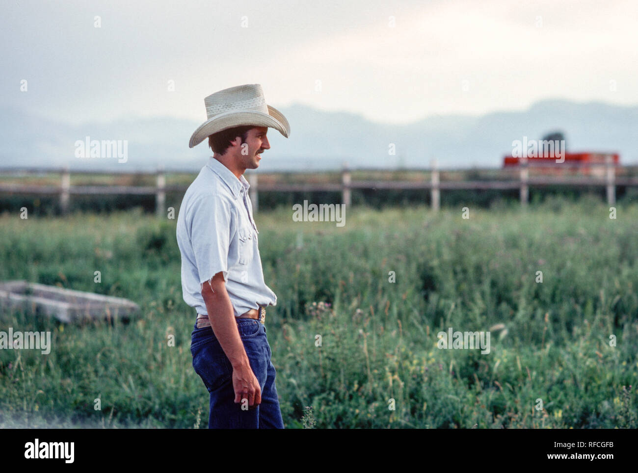 Junge Ranch Hand auf offener Strecke, MT, USA Stockfoto
