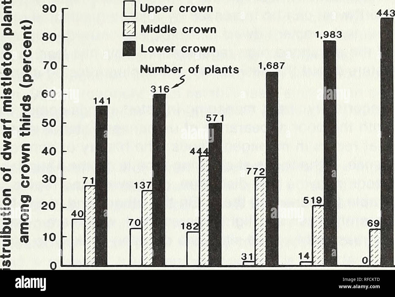 . Antwort von Zwerg Mistel - geplagte Ponderosa Pine zu verdünnen. Arceuthobium Vermehrung; Ponderosa Pine Krankheiten und Schädlinge; Ponderosa Pine zu verdünnen. (0. Q 1956 1960 1963 1968 1970 1974 Jahr Abbildung 6 - Verteilung unter Krone Drittel, der gesamten Zwerg Mistel Pflanzen (7,440) auf 54 Junge ponderosa Kiefern zwischen 1945 und 1974 wächst. Anlage Zahlen gemeldet werden, gerade vor dem Zedenten stand Release in 1956, wenn die meisten latenten Zwerg mistle toe Pflanzen nach Stand Release 1960; sofort unverzüglich vor beschleunigte leader Dehnung in 1963; wenn Schnelle leader Wachstum in 196 stabilisiert hatte entstanden war Stockfoto