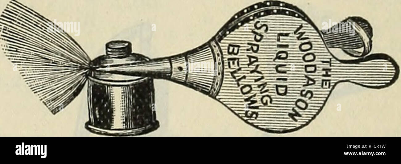 . Zuverlässige Samen: Pflanzen, Blumenzwiebeln, Düngemittel, Werkzeuge, etc.. Baumschulen Massachusetts Boston Kataloge; Blumen; Pflanzen Zierpflanzen Saatgut Kataloge Kataloge; Agriculural implementiert Kataloge. FARQUHARS' STANDARD FUMIGATORS. Unsere neuen Standard Fumigators, zum Brennen auf - bacco Stiele, etc., in Gewächshäusern, sind von schweren verzinktem Eisen. Die größeren Formaten Eisen Feuer-Pfanne mit Luftraum macht sie sehr langlebig. Die stärkste, sichersten und besten fumigator gemacht. Preis, 16 cm hoch, mit Deckel 2,50 $ 24"""" 3-75 28"""" 4,50 Zinn Duster für Paris Gree Stockfoto