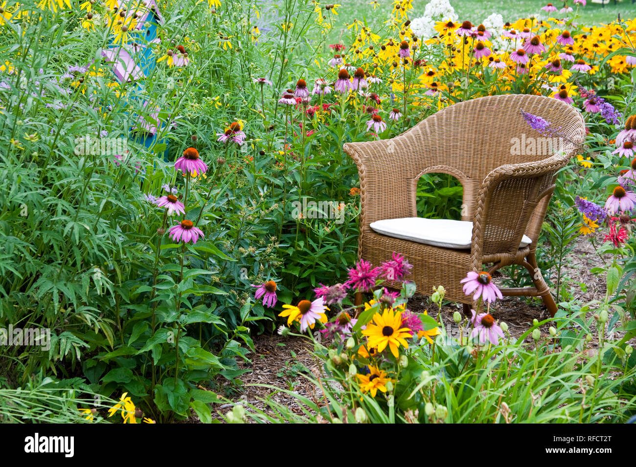 63821-206.10 Korbstuhl und Vogelhaus im Garten mit Black-Eyed Susans (Rudbeckia hirta) Schmetterling Bush (sommerflieder davidii), Lila Coneflowers (Eg Stockfoto