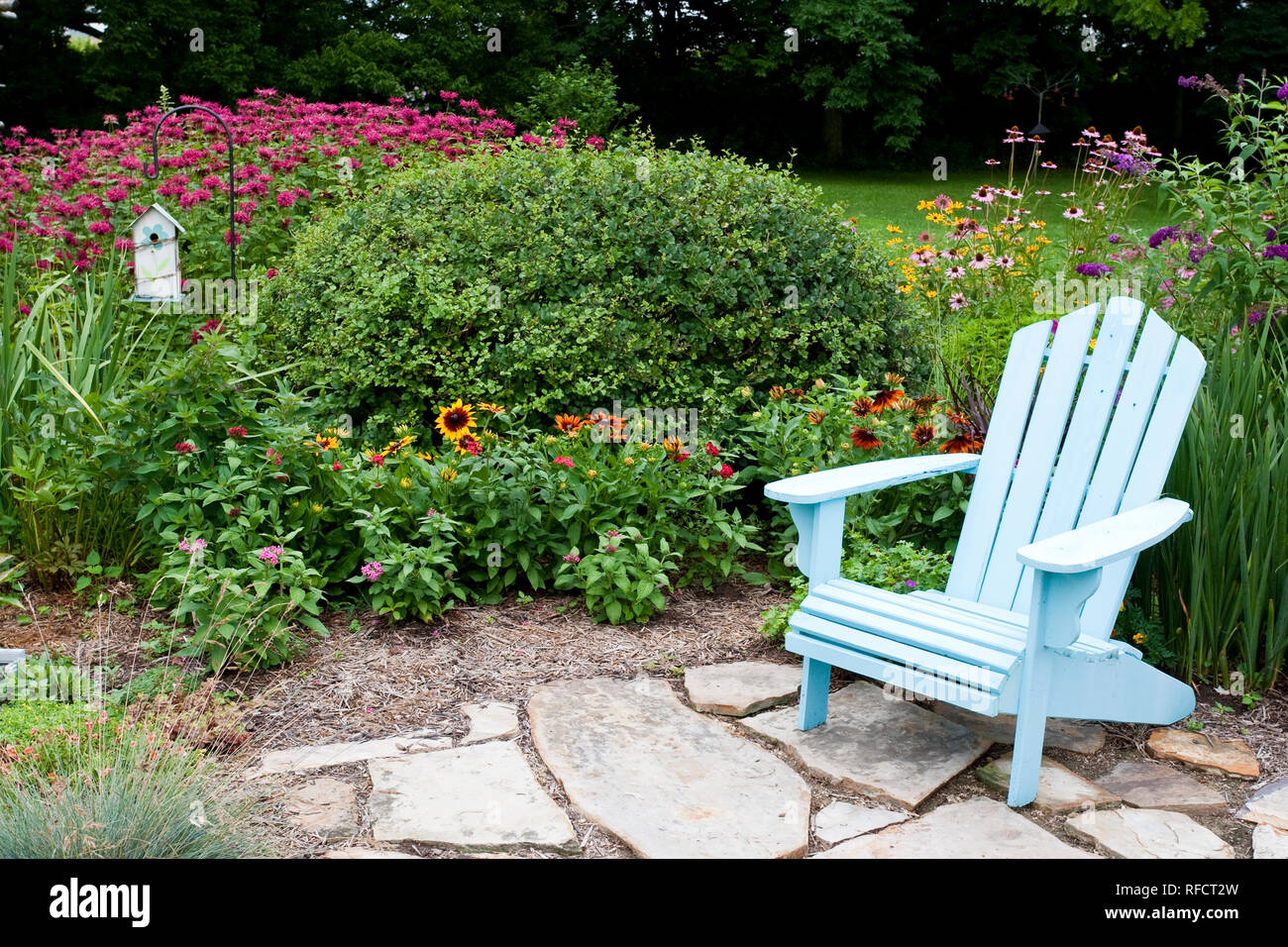 63821-206.16 blauen Stuhl und Vogelhaus im Garten mit herbstlichen Farben black-eyed Susans (Rudbeckia hirta 'Herbst'), Rot und Rosa Pentas (Pentas Stockfoto