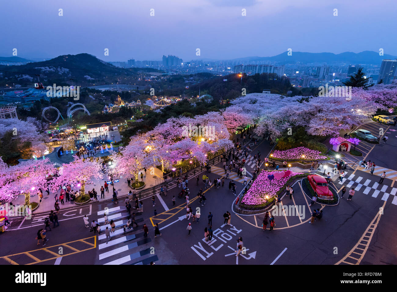 Nachtansicht von Cherry Blossom Festival in Daegu E-Welt. Stockfoto