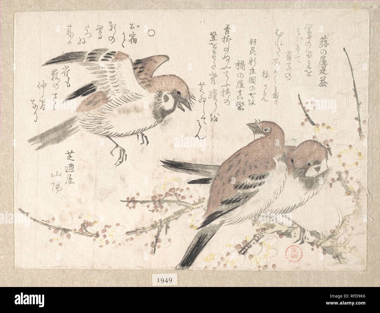 Spatzen und Pflaume Blüten. Artist: Kubo Shunman (Japanisch, 1757-1820). Kultur: Japan. Abmessungen: 5 3/8 x 7 1/4 in. (13,7 x 18,4 cm). Datum: 19. Museum: Metropolitan Museum of Art, New York, USA. Stockfoto