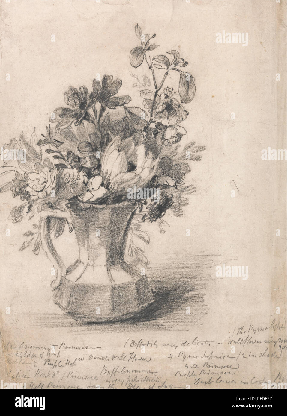 Blumen in einem Krug. Immer noch leben. Graphit auf Medium, leicht strukturierte, Creme webte Papier. Höhe: 286 mm (11.25 in); Breite: 213 mm (8,38 in). Autor: John Constable. Stockfoto