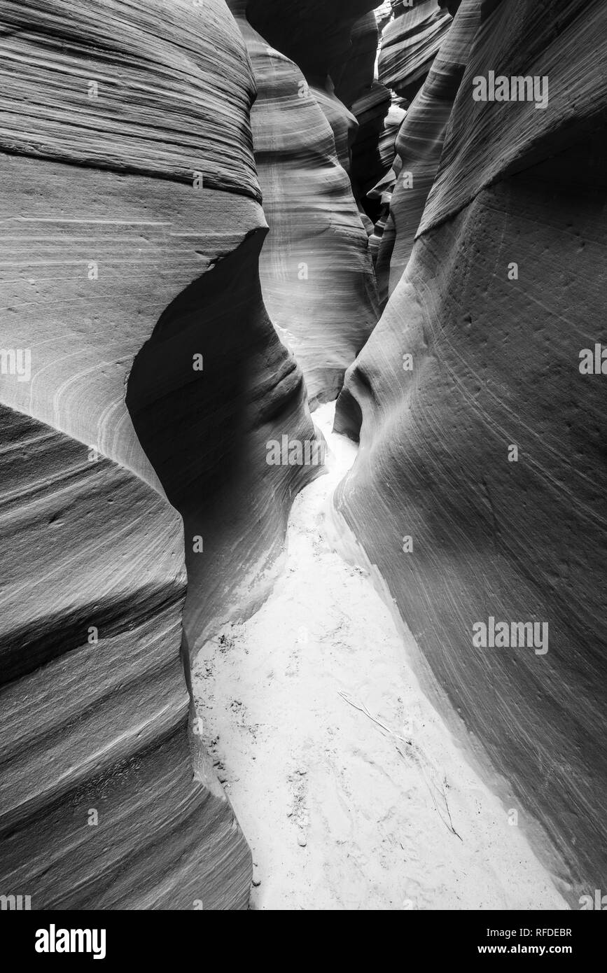 Slickrock Formationen im Lower Antelope Canyon Navajo Indianerreservat, Arizona USA Stockfoto