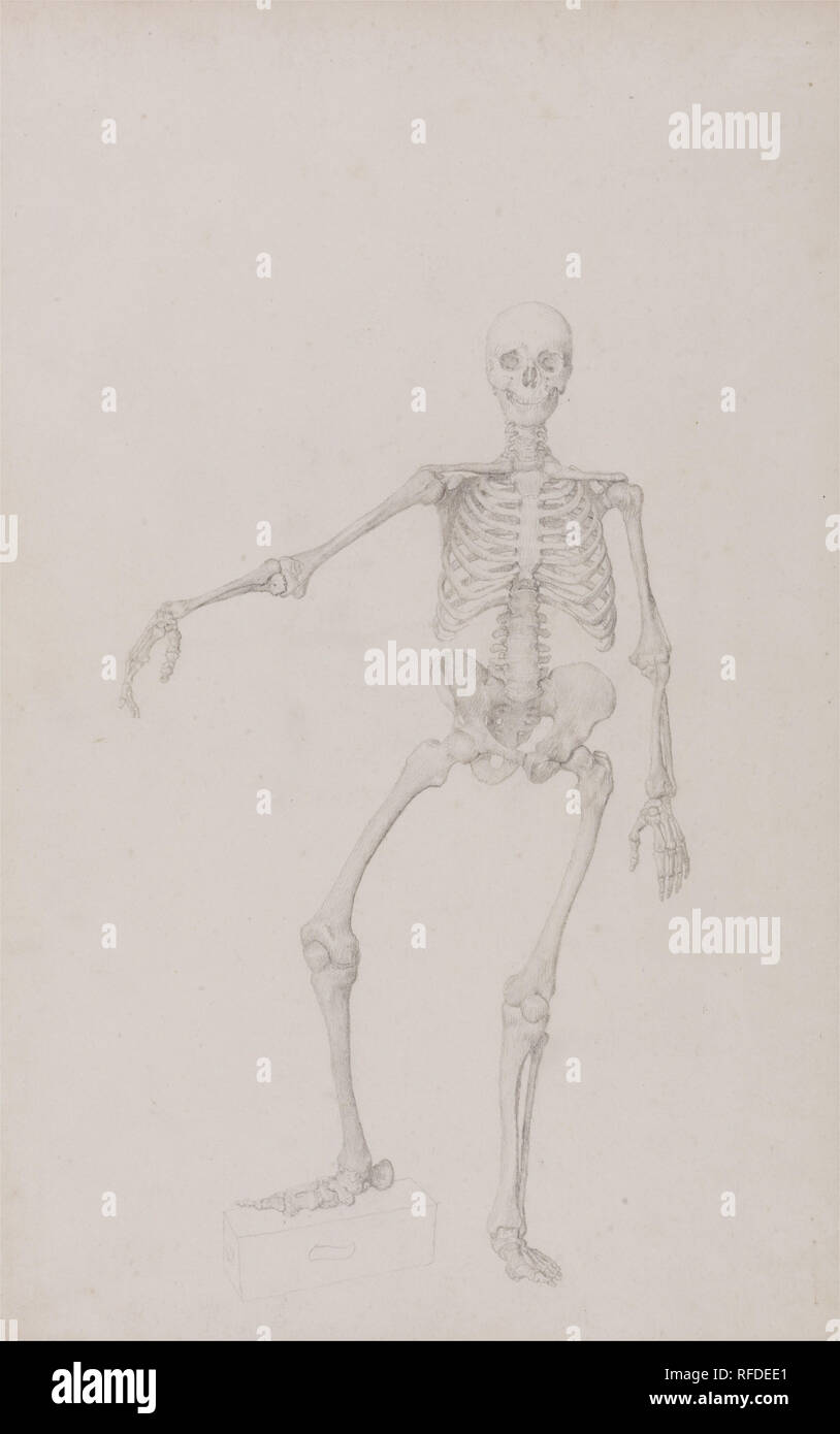 Eine vergleichende anatomische Darstellung der Struktur des menschlichen Körpers mit einem Tiger und einem gemeinsamen Geflügel: Menschliches Skelett, anteriore Ansicht (rechter Arm ausgestreckt; fertige Studie für unveröffentlichte Tabelle). Datum/Zeitraum: 1795 bis 1806. Zeichnung. Graphit auf dünne, leicht strukturierte, Creme webte Papier. Höhe: 441 mm (17,36 in); Breite: 286 mm (11.25 in). Autor: George Stubbs. Stockfoto