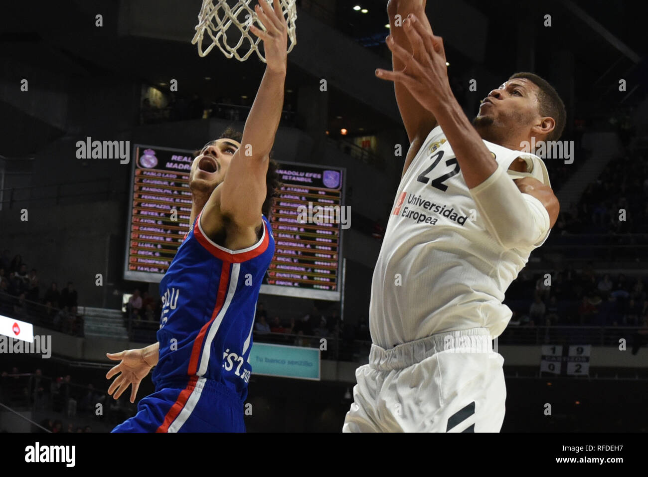 Madrid, Spanien. 24 Jan, 2019. Shane Larkin (links), #0 von Anadolu Efes und Walter Tavares, # 22 von Real Madrid in Aktion während der 2018/2019 Turkish Airlines EuroLeague Saison Runde 20 Spiel zwischen Real Madrid und Anadolu Efes an WiZink Zentrum in Madrid. Real Madrid (Spanien) beat Anadolu Efes (Türkei) 92-84. Credit: Jorge Sanz/Pacific Press/Alamy leben Nachrichten Stockfoto