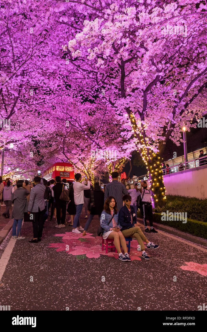 Nachtansicht von Cherry Blossom Festival auf der E-World 83 Tower Stockfoto