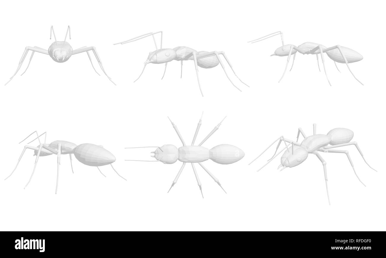 Set mit Ameisen. 6 polygonale Ameisen in verschiedenen Positionen. Isometrie Vector Illustration. Stock Vektor