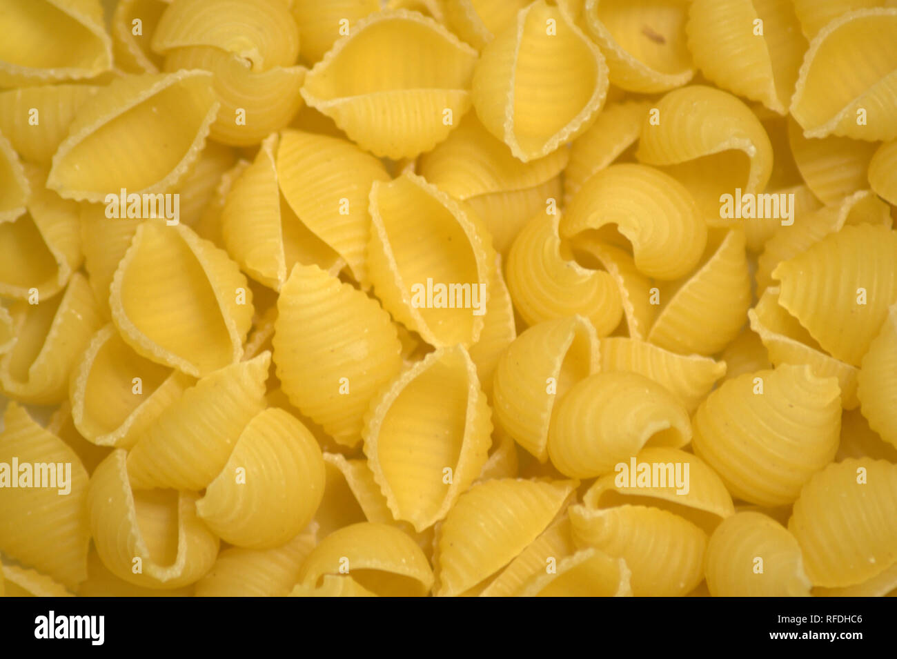 Nudeln in der Form von Muscheln aus einem dichten Hintergrund gelegt. Das Bild ist in der Nähe