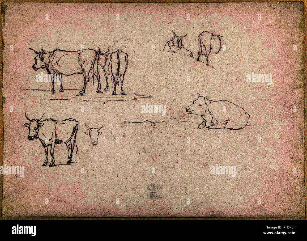 Studie Blatt mit stehend und liegend Vieh. Verfasser: Hendrik Voogd. Datierung: 1788 - 1839. Ort: Rom. Maße: H 242 mm x B 339 mm. Museum: Rijksmuseum, Amsterdam. Stockfoto