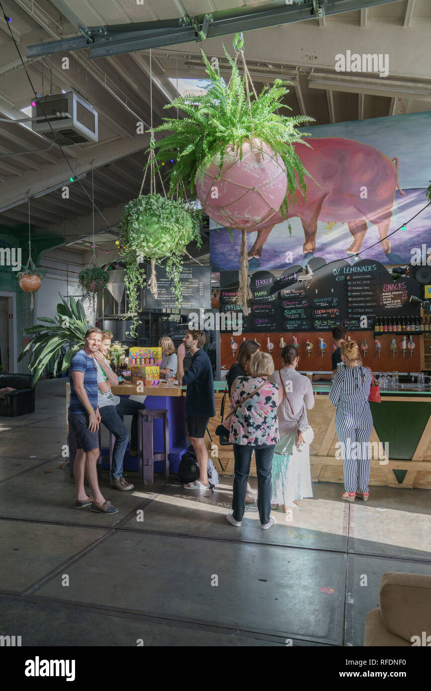 Ödipus Brauerei, Amsterdam Noord, Niederlande Stockfoto