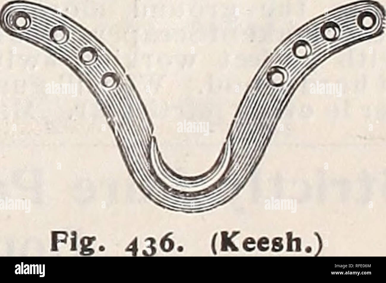 . High Class Samen und implementiert. Baumschulen New Jersey Paterson Kataloge; Gemüse; Blumen Samen Samen Kataloge Kataloge; Gräser, Samen Kataloge; landwirtschaftliche Arbeitsgeräte Kataloge. Double Steel Track, Zusammen vor dem Versand. Abb. 644. (Ratan.) Rafter Klammern. MYERS PATENT STAHL Titel gebündelt, wenn so durch Händler erforderlich, legen wir gemeinsam wie oben vor dem Versand gezeigt. Der Vorteil dieser Plan ist, die in der Errichtung, das Einzige, was erforderlich ist, um die Verzweigung Schellen zu befestigen. Anstelle der alten Methode der brechen Gelenke in der Mitte der Bahn, wir verwenden eine lange schwere Schelle, wie in Abb. 1 gezeigt. 6. Stockfoto