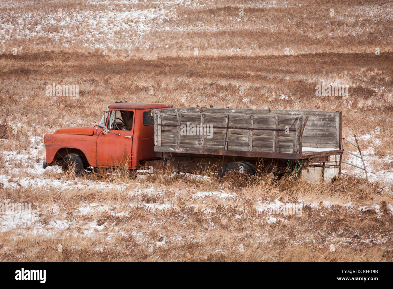 Alte landwirtschaftliche Zugmaschine mit Holz Box verwendet für das Schleppen in Feld mit Schnee und Gras im Winter Das Wetter in ländlichen Alberta, Kanada liegt. Stockfoto