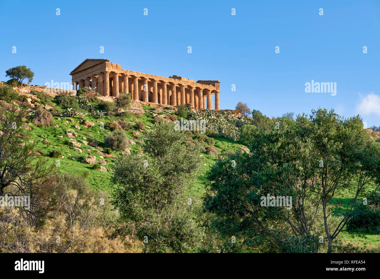 Tempel der Concordia (Tempio della Concordia). Valle dei Templi (Tal der Tempel). Agrigento Sizilien Italien Stockfoto