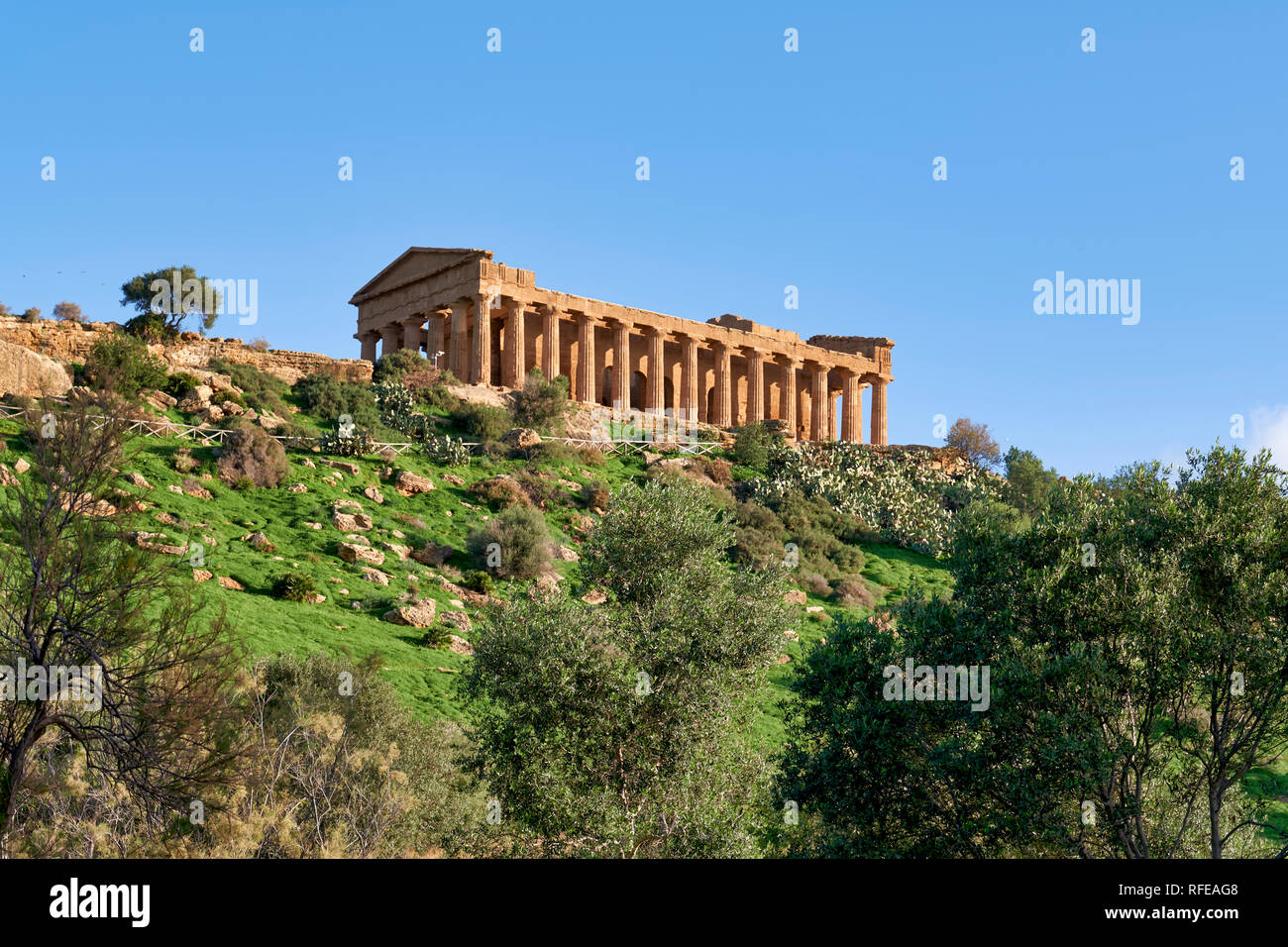 Tempel der Concordia (Tempio della Concordia). Valle dei Templi (Tal der Tempel). Agrigento Sizilien Italien Stockfoto