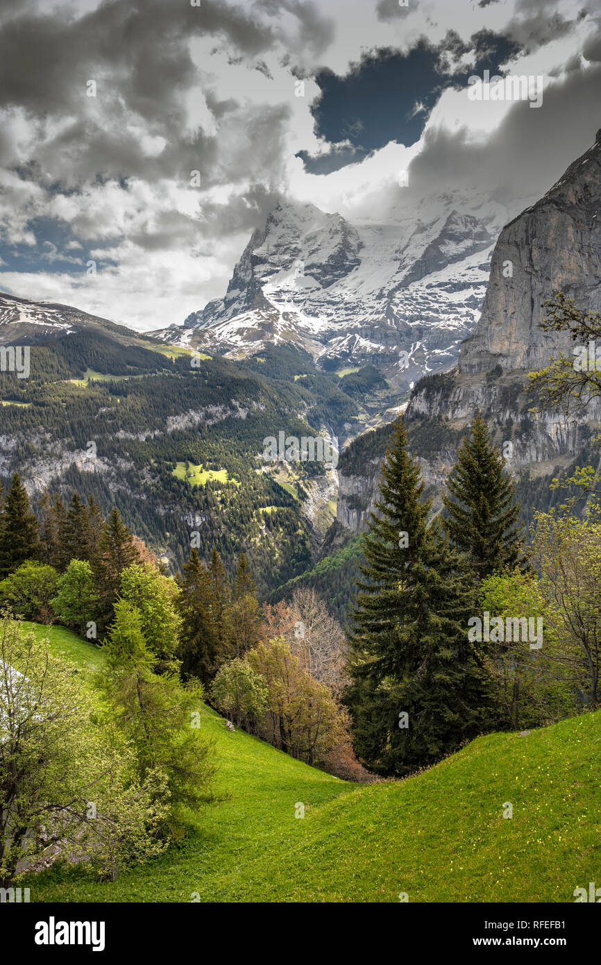 Schweiz, Alpen, Berner Oberland, Frühling. Murren, hohen Winkel vew der  Weisse Lutschine Tal Stockfotografie - Alamy