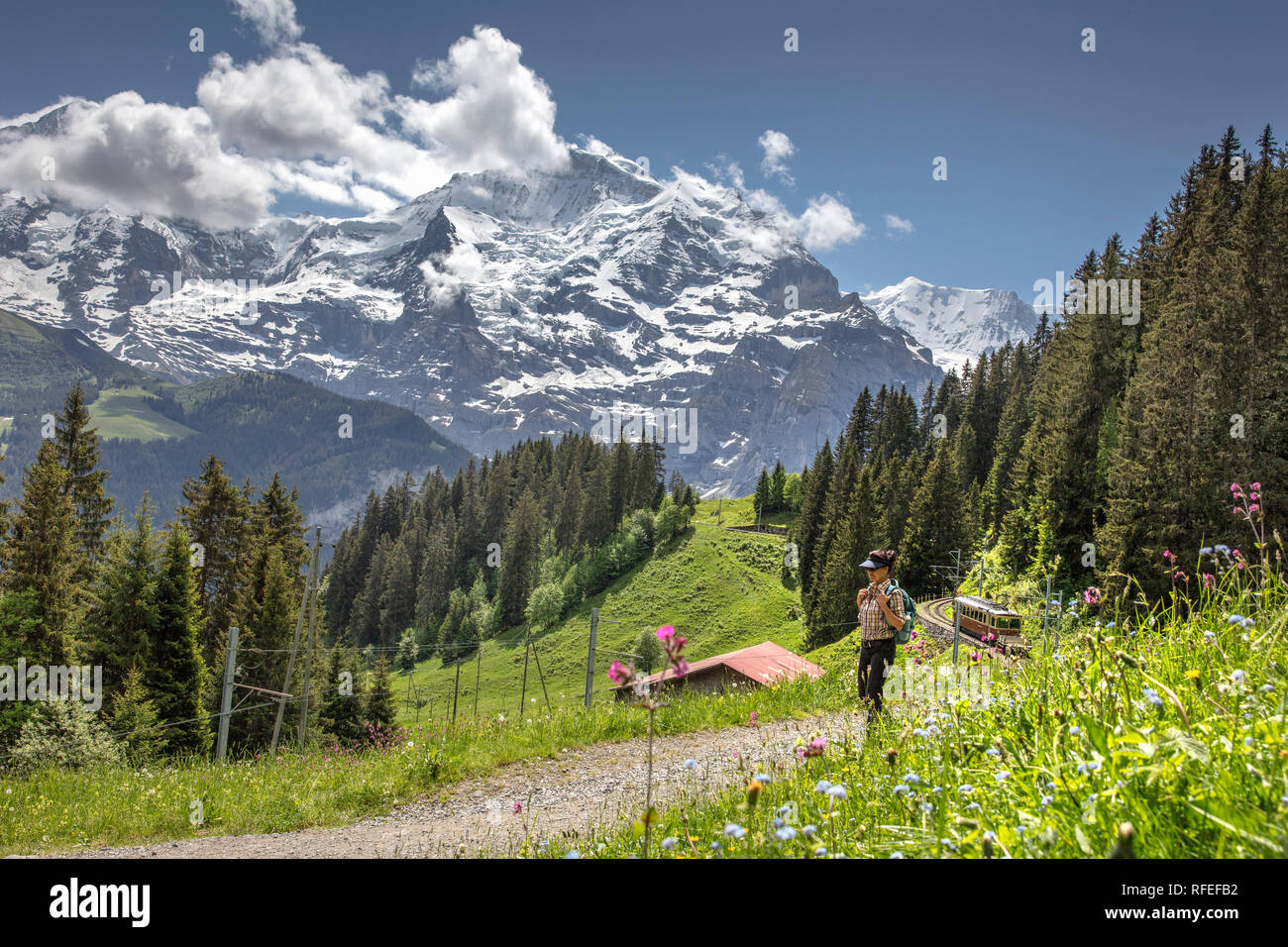 Schweiz, Alpen, Berner Oberland, Frühling. Murren, Wanderer, Frau und Trainieren und Jungfrau (4158m). Stockfoto