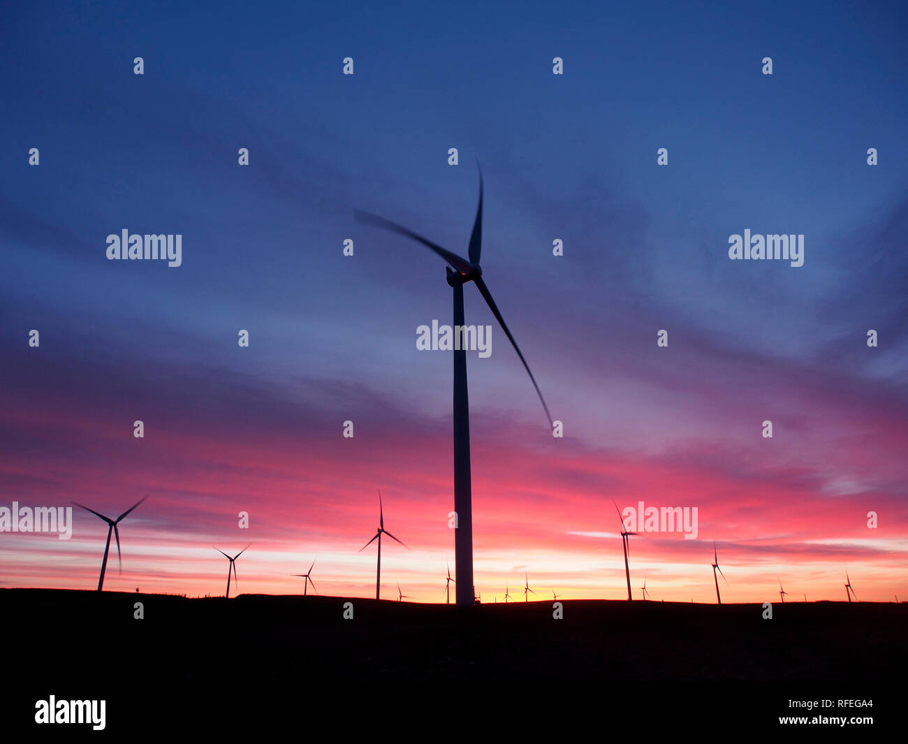 Windpark in der Morgendämmerung, Monynut Kante, Lammermuir Hills in der Nähe von Dunbar, Schottland Stockfoto