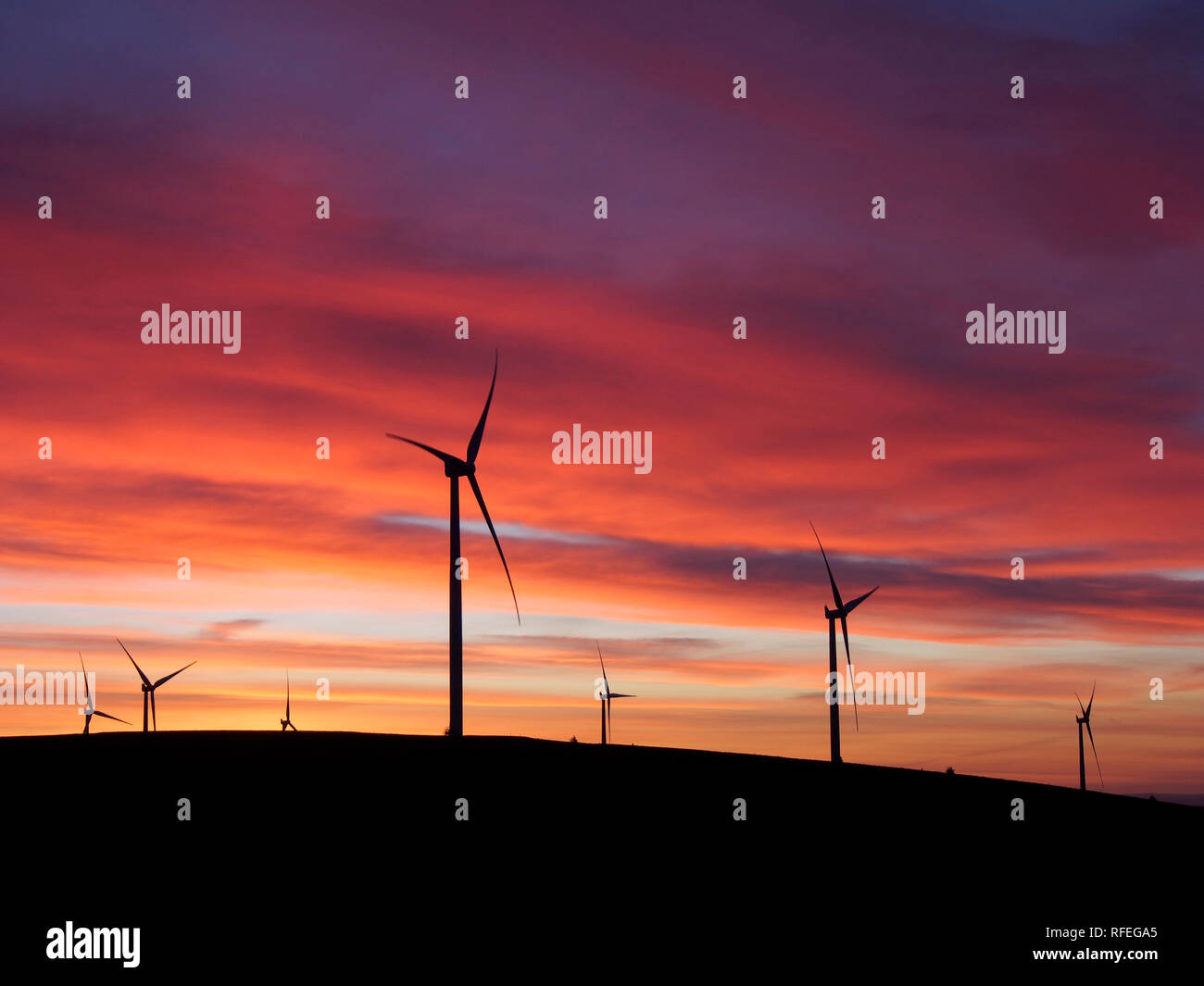 Windpark in der Morgendämmerung, Monynut Kante, Lammermuir Hills in der Nähe von Dunbar, Schottland Stockfoto