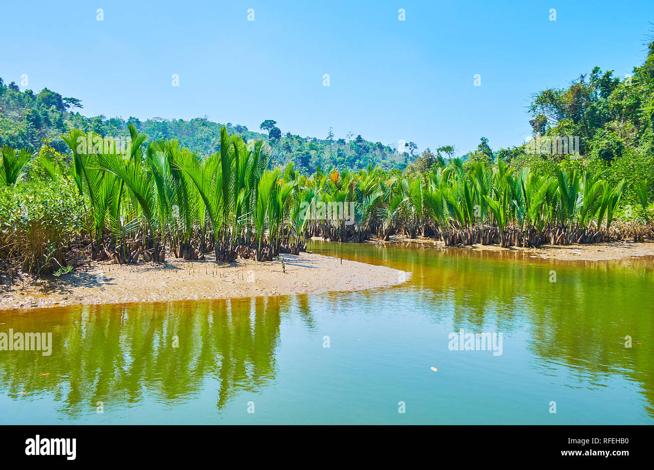 Die Ebbe entblößt die seichten von Kangy Fluss - der Lehmboden mit Mangrovenwäldern, Chaung Tha Zone, Myanmar. Stockfoto