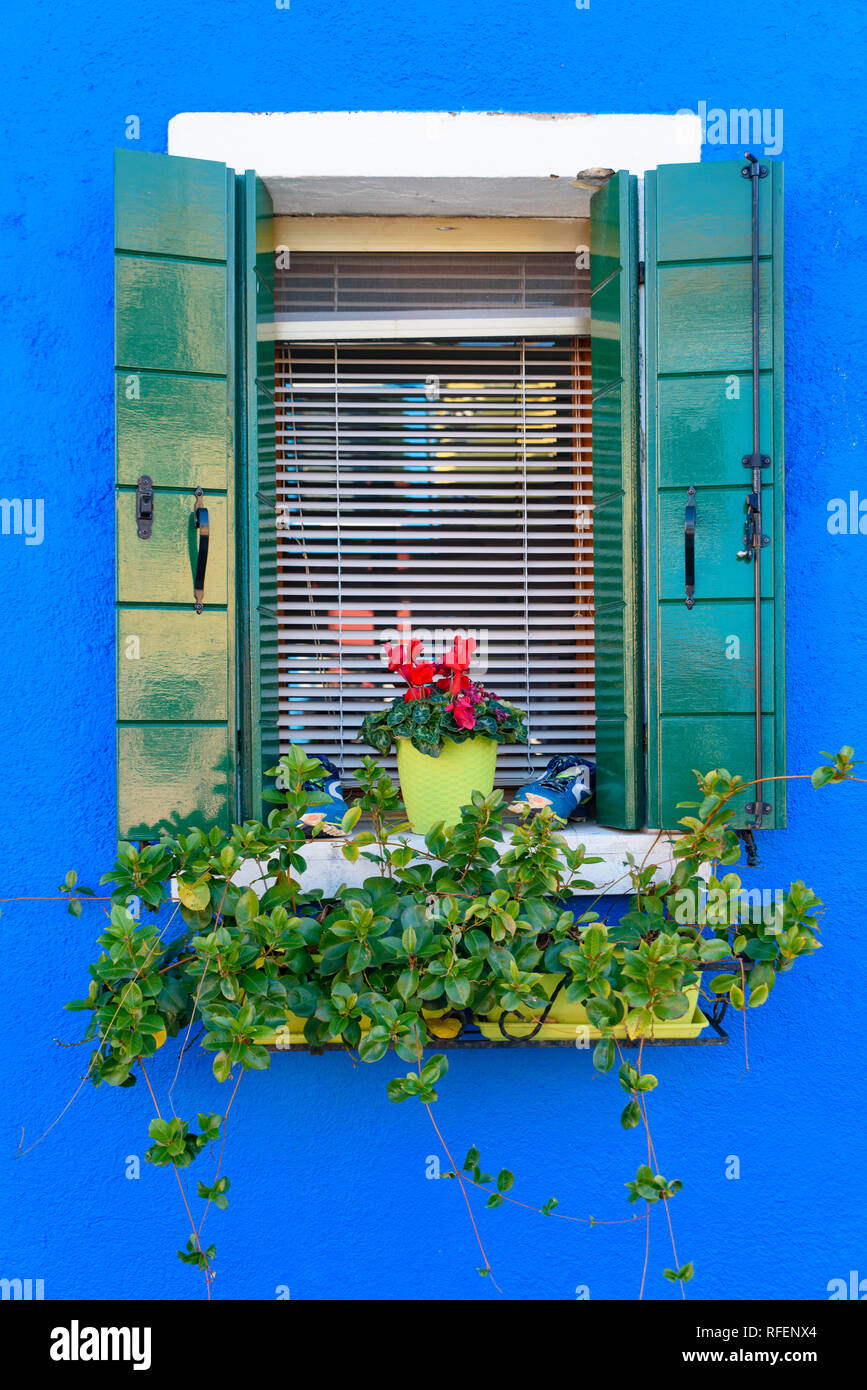 Mediterrane Fenster Dekoration in Venedig, Italien Stockfoto