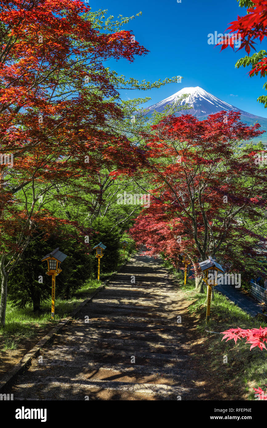 Fuji Berg Hintergrund und Gehweg mit roter Ahorn rund um Stockfoto