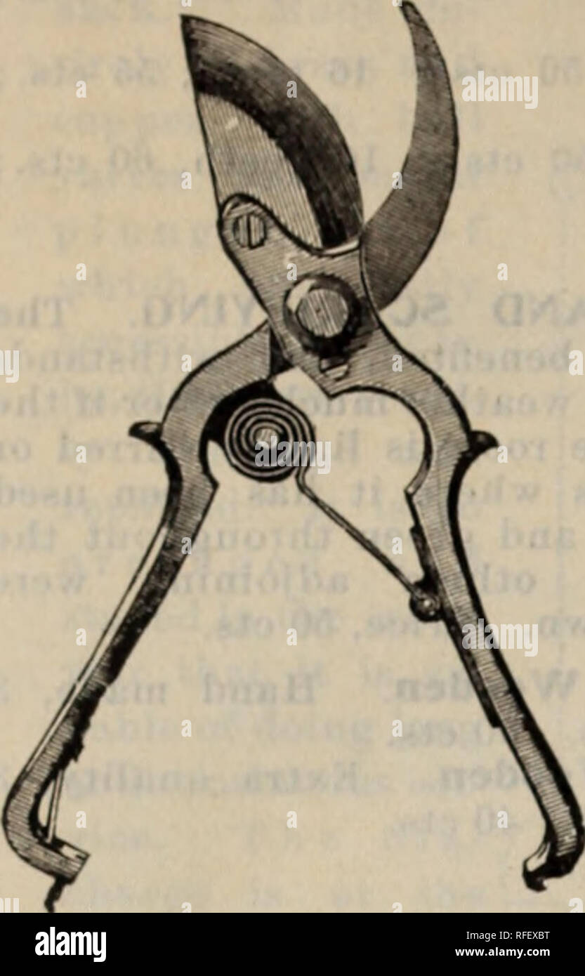 . Samen Katalog. Baumschulen Massachusetts Boston Kataloge; Gemüse; Blumen Samen Samen Kataloge Kataloge; Obstbäume Samen Kataloge; landwirtschaftliche Arbeitsgeräte Kataloge. "4 Thomas/. Grau &Amp; CO., BOS'WN, MASSE.. Mit der Feder. Die li'est lisluMl, jedes, S-in., 51. T"*:'.•.. &Gt; 1. sjiiral und KUNKH FKKNCU I'. Nr. 3, 11.20: Nr. 4, Scheren $ 1.2, Französisch Beschneidung jiruner überhaupt angeboten. Scheren. Trenton Beschneidung. Ein lini Stahl t sI" Rin ^^unpoliert, eaeh, l*-in., 7"&gt;cts. Scheren, Levin die Beschneidung. Die leichtesten pruner gemacht. Einfach in der constructidn; md Ful. Jeder, 50 cts. Sho Stockfoto