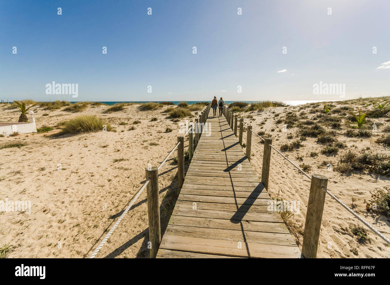 Holzsteg Überquerung Coastal dune Vegetation am Strand, Praia da Manta Rota, Algarve, Portugal. Stockfoto