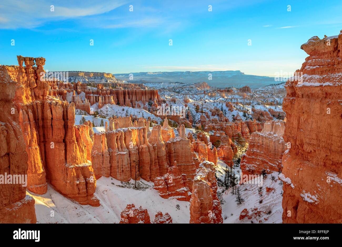 Morgen Licht, bizarr verschneite felsige Landschaft mit Hoodoos im Winter, Navajo Loop Trail, Bryce Canyon National Park, Utah, USA Stockfoto